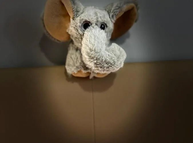 Magnificent And New In Playa San Juan